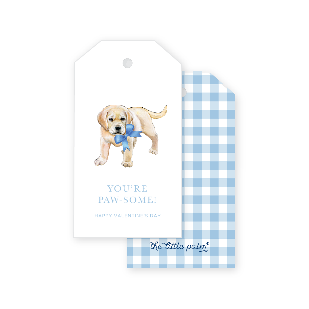 Personalized Beach Towel Hooded Wrap with Anchor